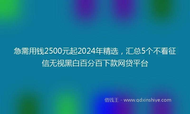 急需用钱2500元起2024年精选，汇总5个不看征信无视黑白百分百下款网贷平台
