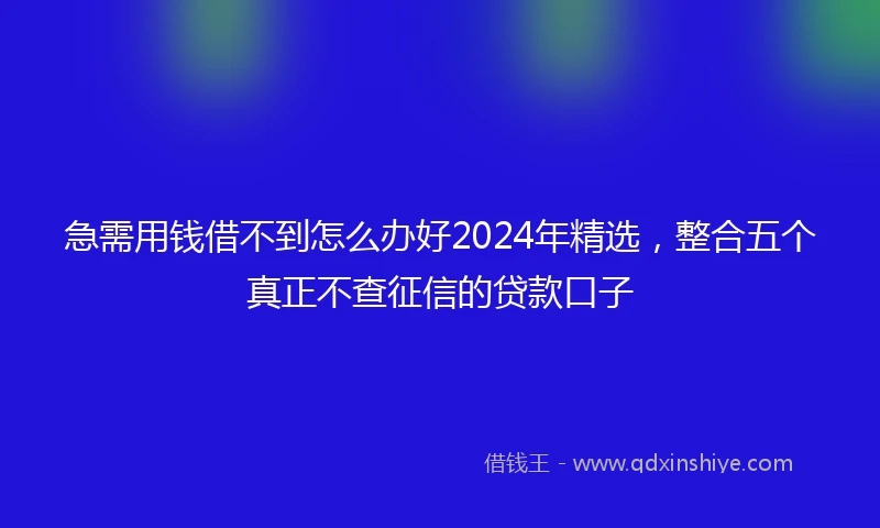 急需用钱借不到怎么办好2024年精选，整合五个真正不查征信的贷款口子