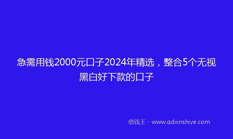 急需用钱2000元口子2024年精选，整合5个无视黑白好下款的口子