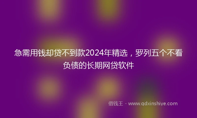 急需用钱却贷不到款2024年精选，罗列五个不看负债的长期网贷软件
