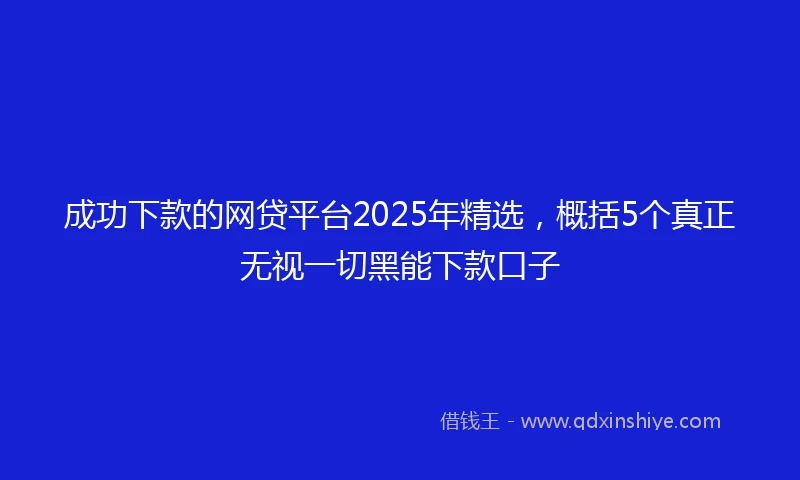 成功下款的网贷平台2025年精选，概括5个真正无视一切黑能下款口子