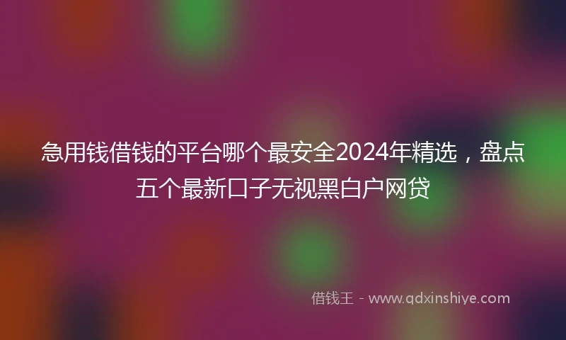 急用钱借钱的平台哪个最安全2024年精选，盘点五个最新口子无视黑白户网贷