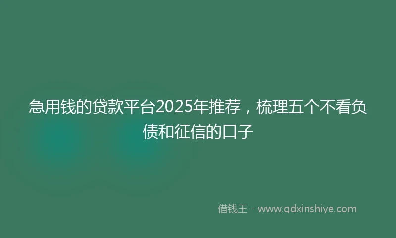 急用钱的贷款平台2025年推荐，梳理五个不看负债和征信的口子