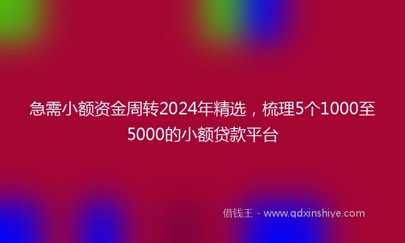 急需小额资金周转2024年精选，梳理5个1000至5000的小额贷款平台