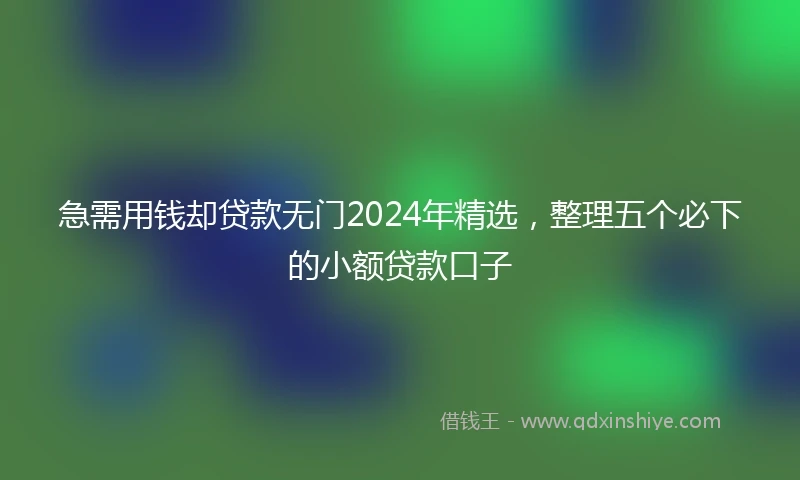 急需用钱却贷款无门2024年精选，整理五个必下的小额贷款口子
