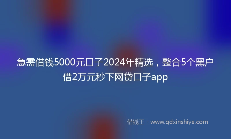急需借钱5000元口子2024年精选，整合5个黑户借2万元秒下网贷口子app