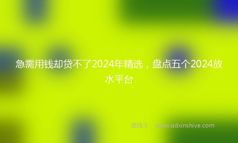急需用钱却贷不了2024年精选，盘点五个2024放水平台
