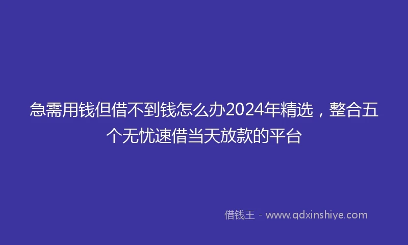 急需用钱但借不到钱怎么办2024年精选，整合五个无忧速借当天放款的平台