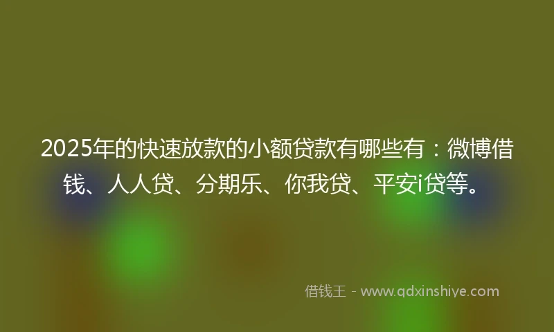 2025年的快速放款的小额贷款有哪些有：微博借钱、人人贷、分期乐、你我贷、平安i贷等。