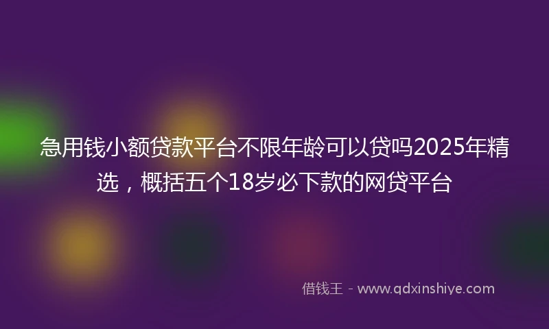 急用钱小额贷款平台不限年龄可以贷吗2025年精选，概括五个18岁必下款的网贷平台