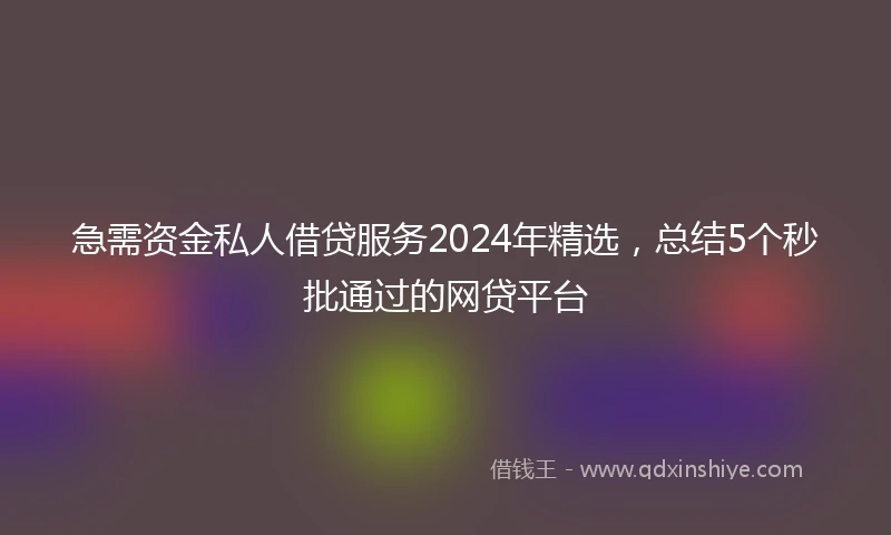 急需资金私人借贷服务2024年精选，总结5个秒批通过的网贷平台