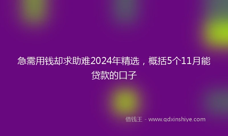 急需用钱却求助难2024年精选，概括5个11月能贷款的口子