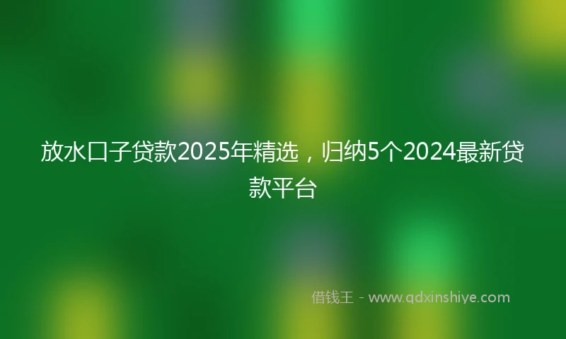 放水口子贷款2025年精选，归纳5个2024最新贷款平台