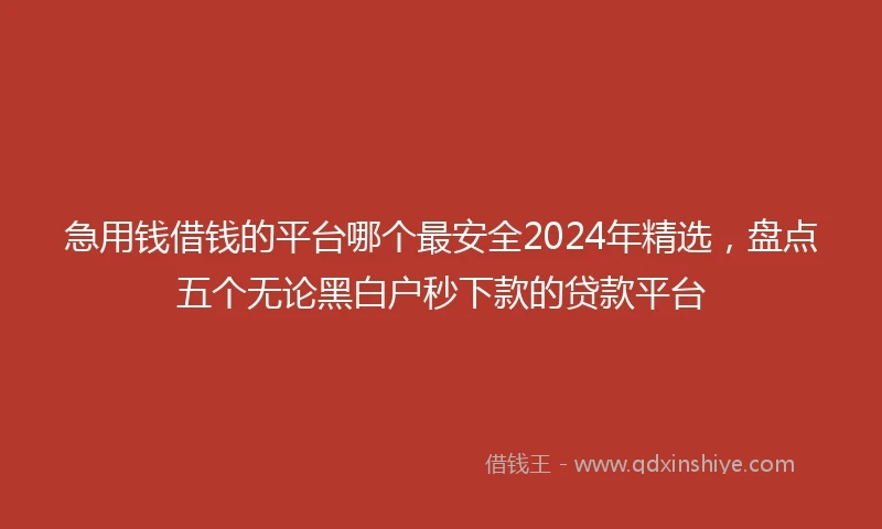 急用钱借钱的平台哪个最安全2024年精选，盘点五个无论黑白户秒下款的贷款平台