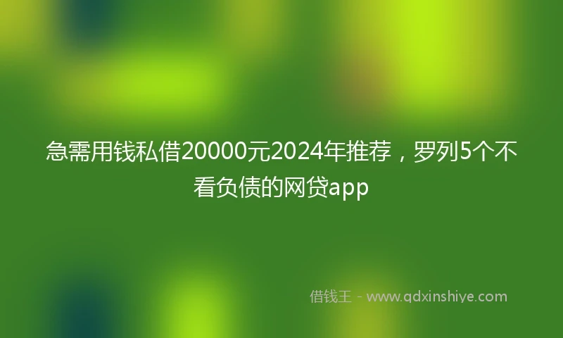 急需用钱私借20000元2024年推荐，罗列5个不看负债的网贷app