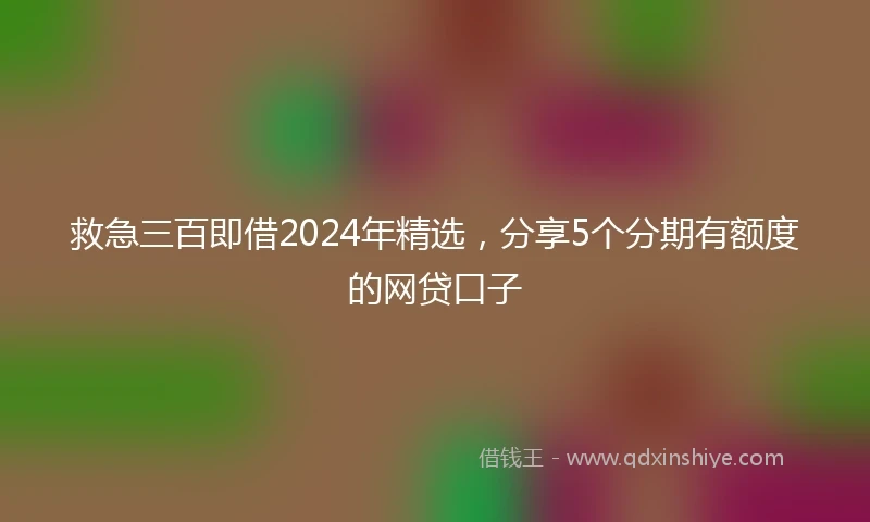 救急三百即借2024年精选，分享5个分期有额度的网贷口子