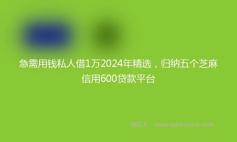 急需用钱私人借1万2024年精选，归纳五个芝麻信用600贷款平台