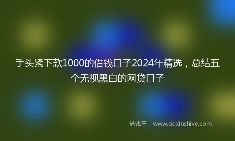 手头紧下款1000的借钱口子2024年精选，总结五个无视黑白的网贷口子