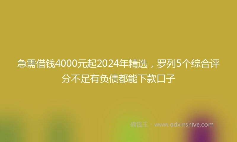 急需借钱4000元起2024年精选，罗列5个综合评分不足有负债都能下款口子