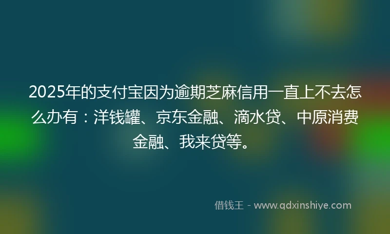 2025年的支付宝因为逾期芝麻信用一直上不去怎么办有：洋钱罐、京东金融、滴水贷、中原消费金融、我来贷等。