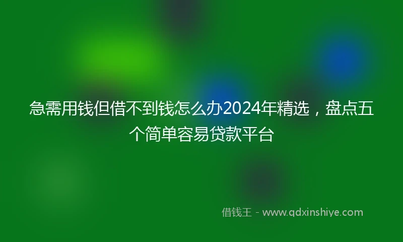 急需用钱但借不到钱怎么办2024年精选，盘点五个简单容易贷款平台