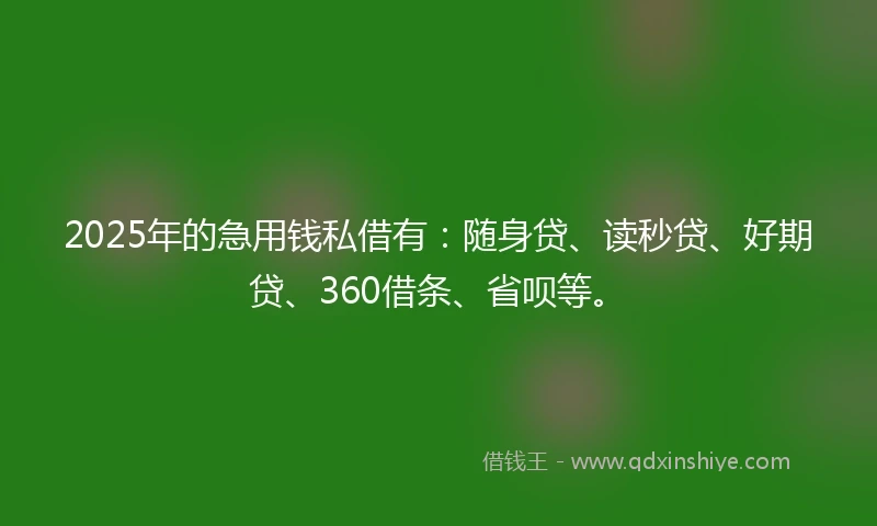 2025年的急用钱私借有：随身贷、读秒贷、好期贷、360借条、省呗等。