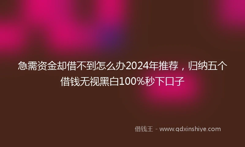 急需资金却借不到怎么办2024年推荐，归纳五个借钱无视黑白100%秒下口子