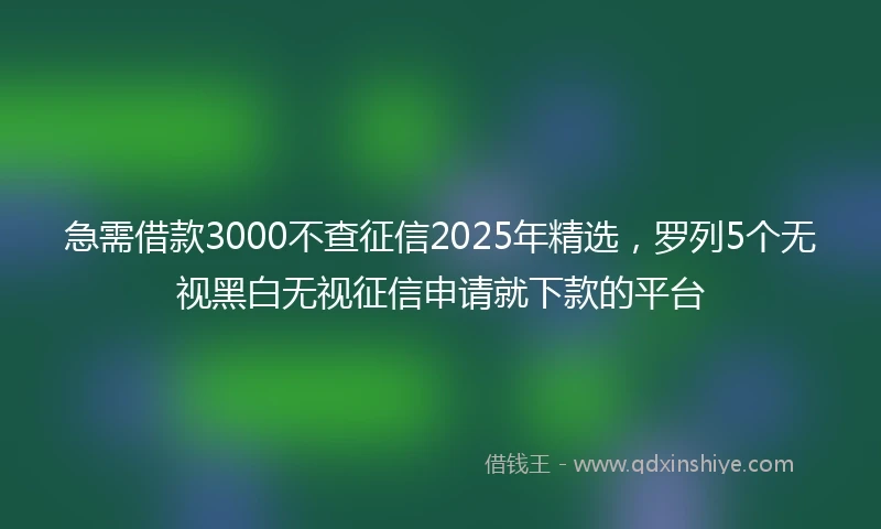 急需借款3000不查征信2025年精选，罗列5个无视黑白无视征信申请就下款的平台