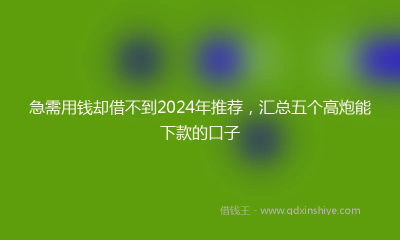 急需用钱却借不到2024年推荐，汇总五个高炮能下款的口子