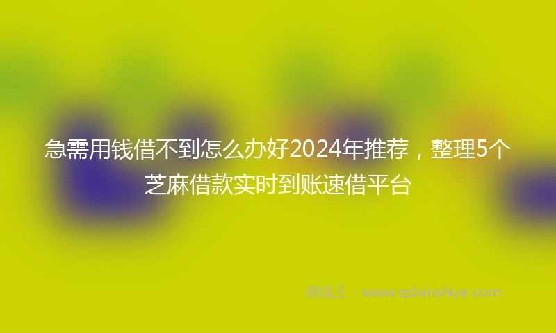 急需用钱借不到怎么办好2024年推荐，整理5个芝麻借款实时到账速借平台