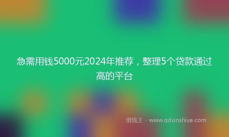 急需用钱5000元2024年推荐，整理5个贷款通过高的平台