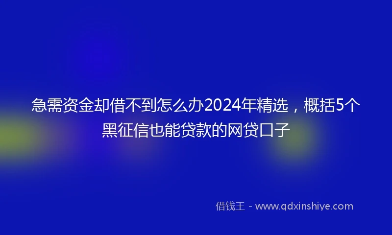 急需资金却借不到怎么办2024年精选，概括5个黑征信也能贷款的网贷口子
