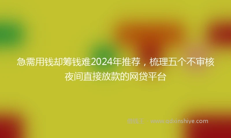 急需用钱却筹钱难2024年推荐，梳理五个不审核夜间直接放款的网贷平台