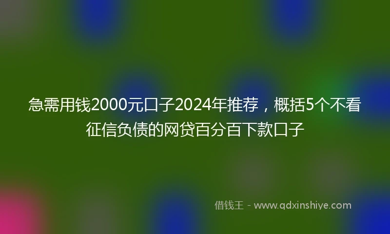 急需用钱2000元口子2024年推荐，概括5个不看征信负债的网贷百分百下款口子