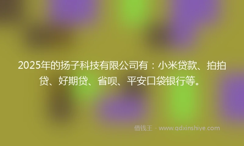 2025年的扬子科技有限公司有：小米贷款、拍拍贷、好期贷、省呗、平安口袋银行等。