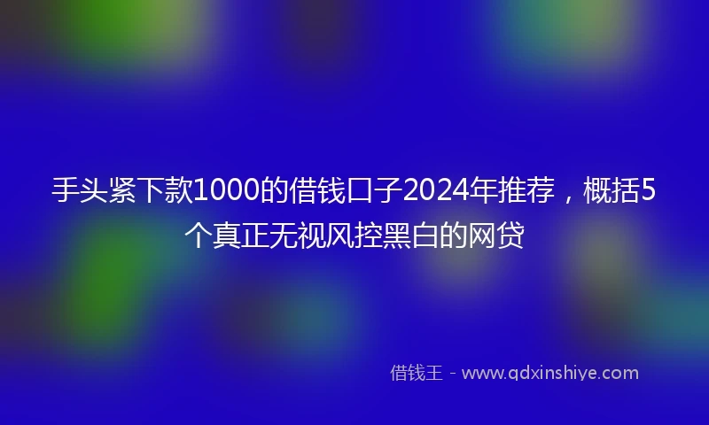 手头紧下款1000的借钱口子2024年推荐，概括5个真正无视风控黑白的网贷