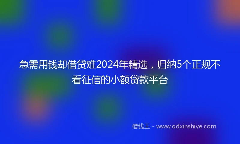 急需用钱却借贷难2024年精选，归纳5个正规不看征信的小额贷款平台