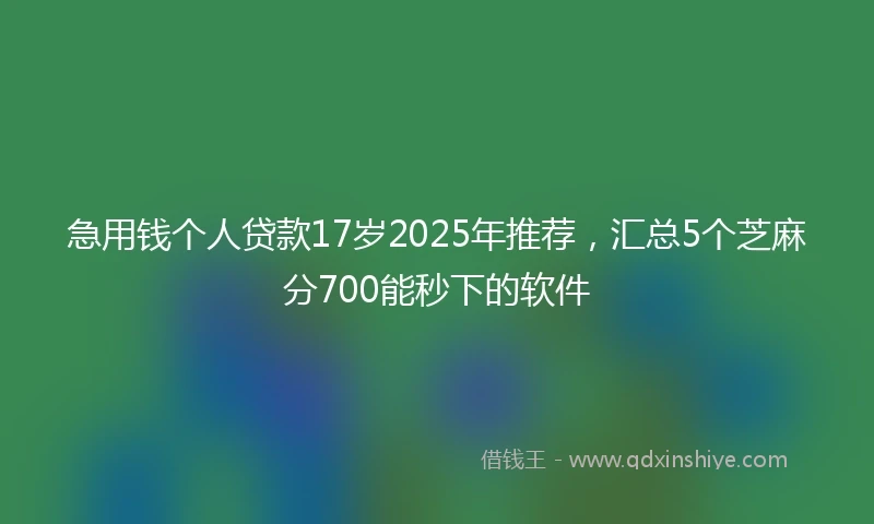急用钱个人贷款17岁2025年推荐，汇总5个芝麻分700能秒下的软件