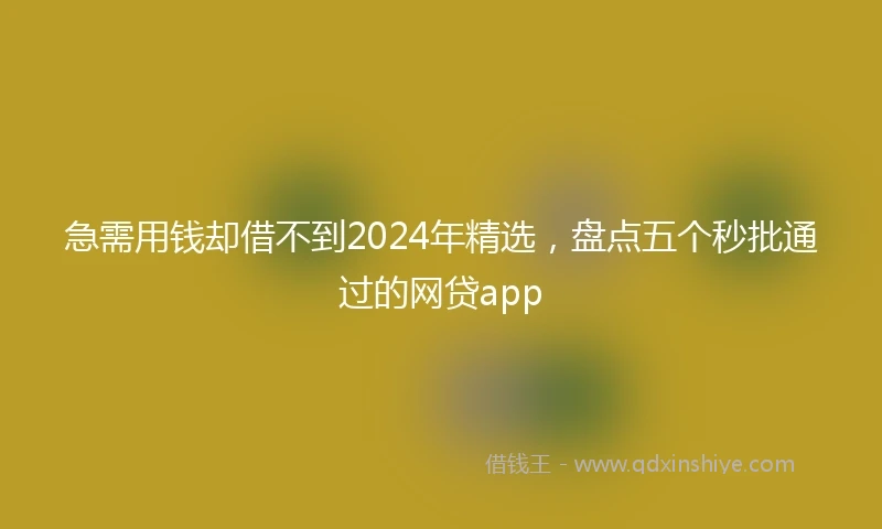 急需用钱却借不到2024年精选，盘点五个秒批通过的网贷app
