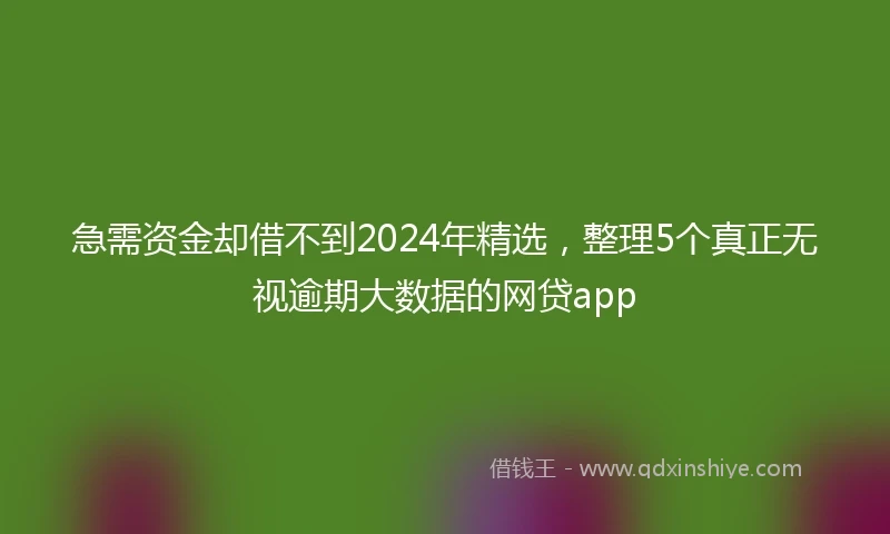 急需资金却借不到2024年精选，整理5个真正无视逾期大数据的网贷app