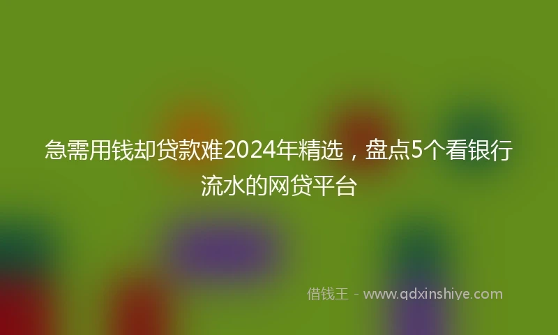 急需用钱却贷款难2024年精选，盘点5个看银行流水的网贷平台