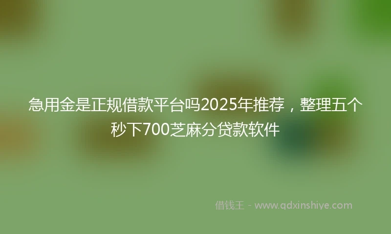 急用金是正规借款平台吗2025年推荐，整理五个秒下700芝麻分贷款软件