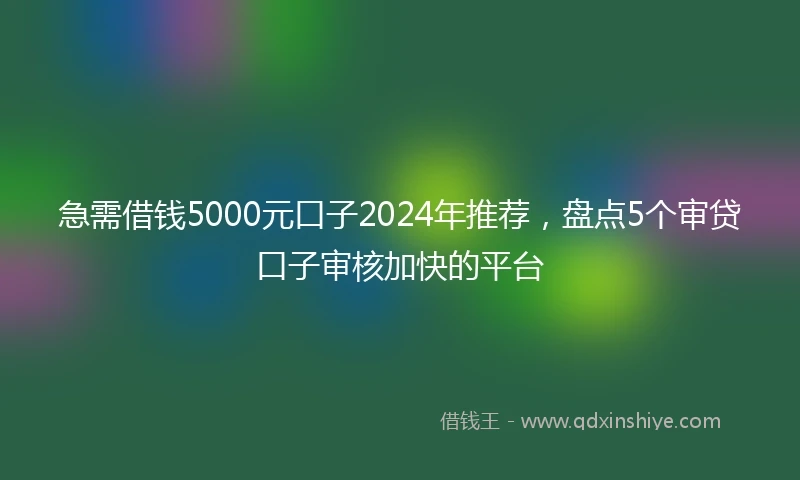 急需借钱5000元口子2024年推荐，盘点5个审贷口子审核加快的平台