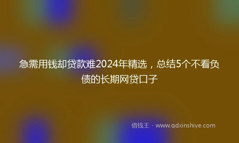 急需用钱却贷款难2024年精选，总结5个不看负债的长期网贷口子