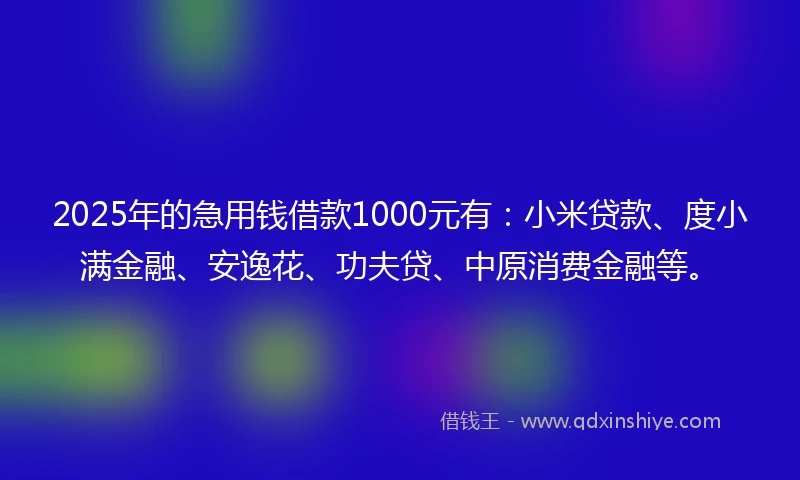 2025年的急用钱借款1000元有：小米贷款、度小满金融、安逸花、功夫贷、中原消费金融等。