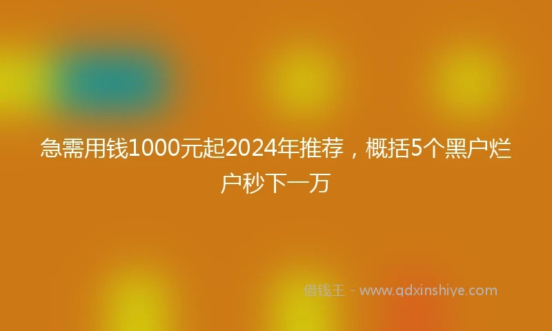 急需用钱1000元起2024年推荐，概括5个黑户烂户秒下一万