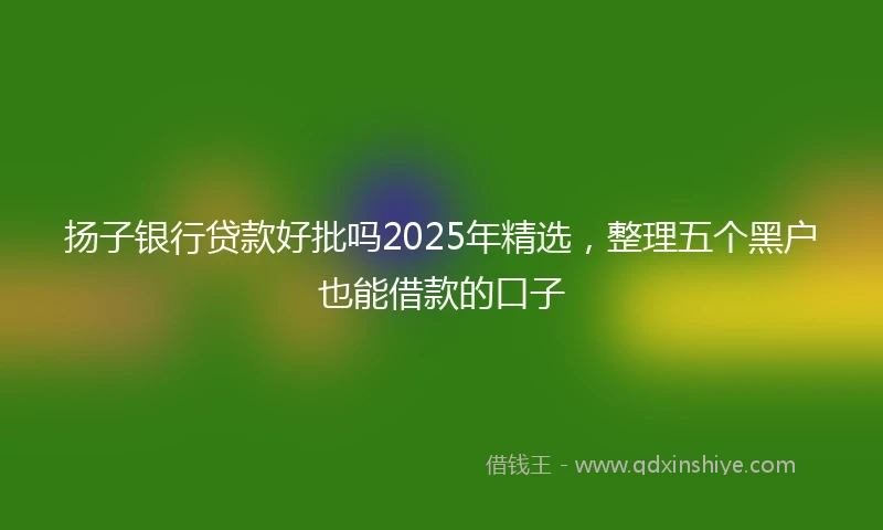 扬子银行贷款好批吗2025年精选，整理五个黑户也能借款的口子
