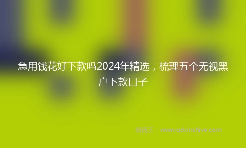 急用钱花好下款吗2024年精选,梳理五个无视黑户下款口子