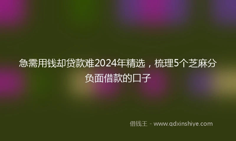 急需用钱却贷款难2024年精选，梳理5个芝麻分负面借款的口子