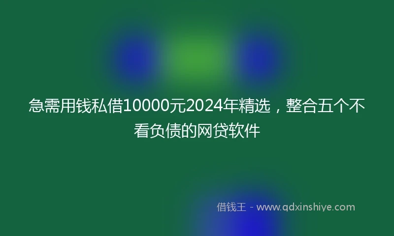急需用钱私借10000元2024年精选，整合五个不看负债的网贷软件